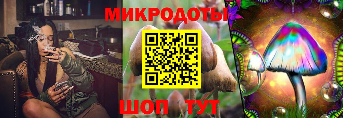 Псилоцибиновые грибы Magic Shrooms  Псилоцибиновые грибы Psilocybe  где можно купить   Вход с VPN  Горячий Ключ 