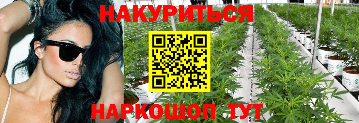 Конопля MAZAR  Бошки Шишки индика  Канабис планчик  Вход с VPN  Горячий Ключ 
